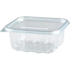 Plastik Sızdırmaz Kap 100'lü 500 gr