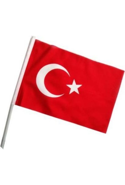 Doruk Sopalı Türk Bayrağı 30 x 45 cm 10'lu