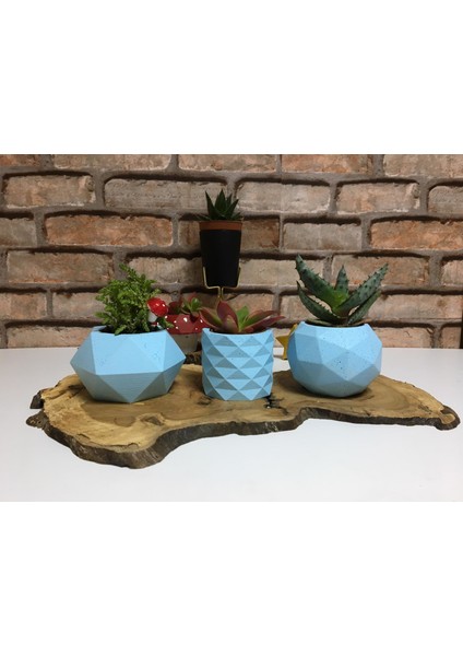 Beton Saksı Seti Mavi 3'lü