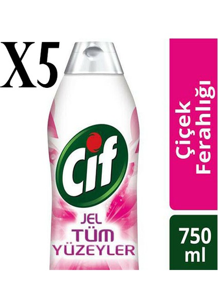Tüm Yüzeyler Çiçek Ferhlığı 750 ml x 5 Adet