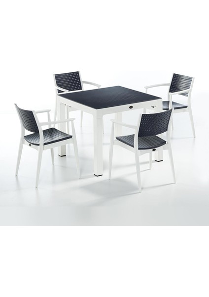 Seginus Bahçe Seti 4 Sandalye + 1 Camlı Masa Takımı Antrasit/beyaz