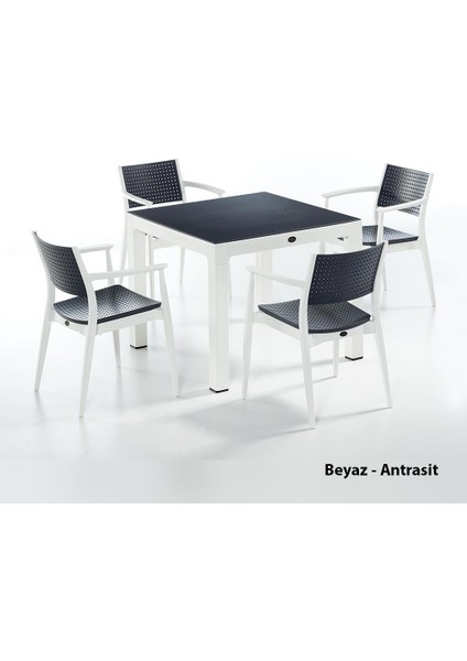 Seginus Bahçe Seti 4 Sandalye + 1 Camlı Masa Takımı Antrasit/beyaz indirimleri