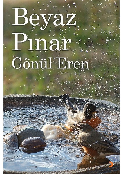 Beyaz Pınar - Gönül Eren