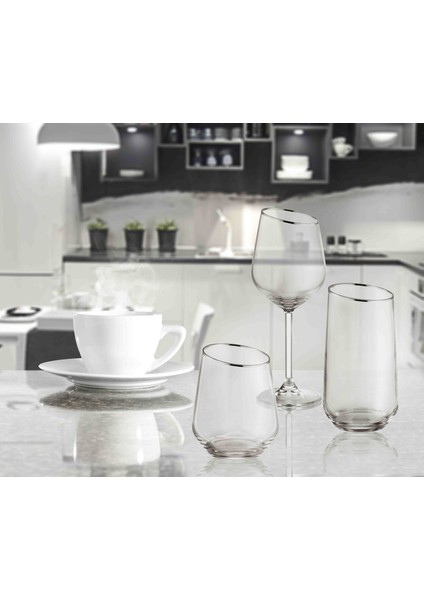 Gina Şarap Kadehi 6'lı Set - Gümüş