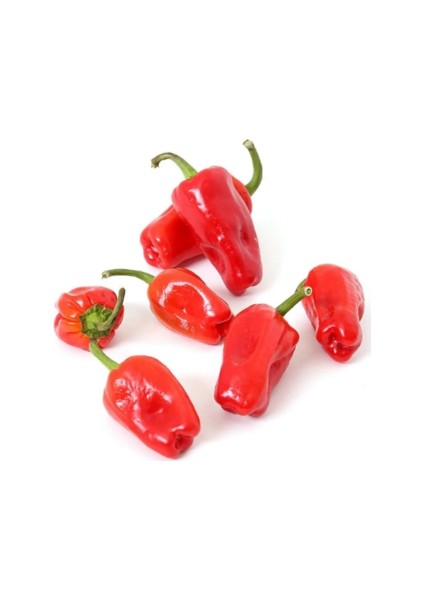 Acı Urfa Isot Biberi Tohumu Biber Tohumu 10 Tohum