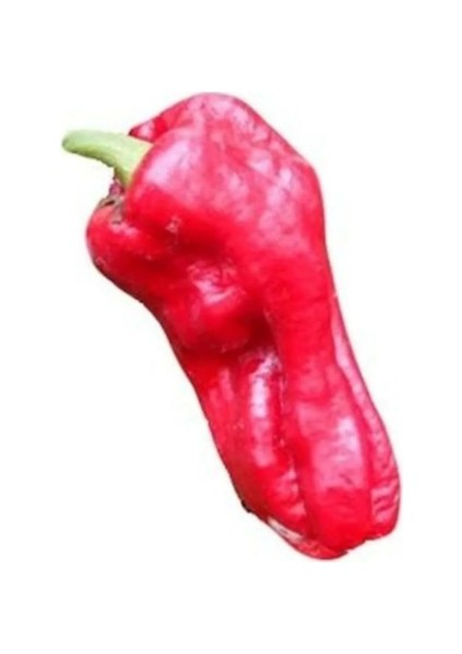 Acı Urfa Isot Biberi Tohumu Biber Tohumu 10 Tohum modelleri