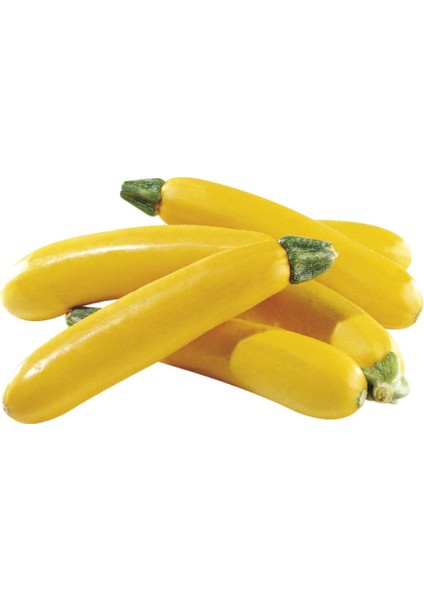 Nadir Sarı Kabak Tohumu Süper Paket 40 Tohum