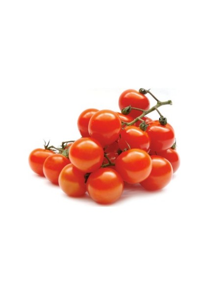 Nadir Pinpon Domates Tohumu Süper Paket 200 Tohum fırsatları