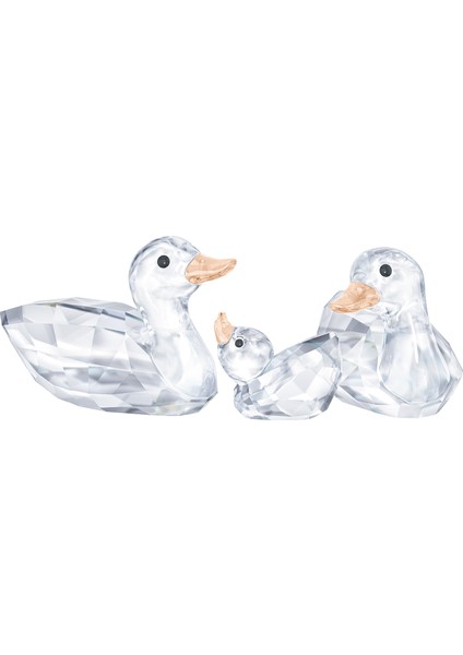 Biblo Ducks 5376422