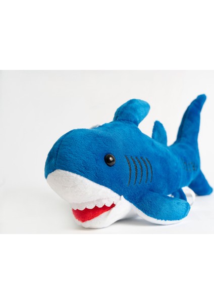 Siyah Kedi Baby Shark Köpek Balığı Peluş Oyuncak 30 cm