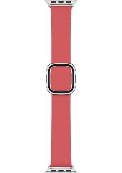 Watch 38 mm - 40 mm Klasik Tokalı Yavruağzı Kayış L -MTQR2ZM/A