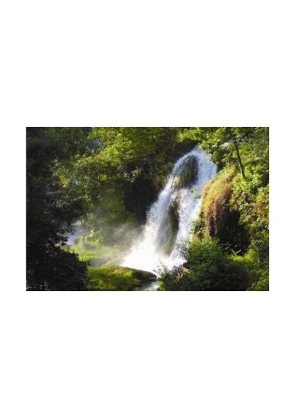 Excited 2780 1000 Parça Puzzle