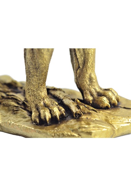 Aslan Biblo 30 cm