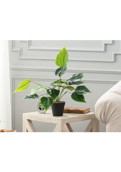 Verdure Saksılı Çiçek - Yeşil
