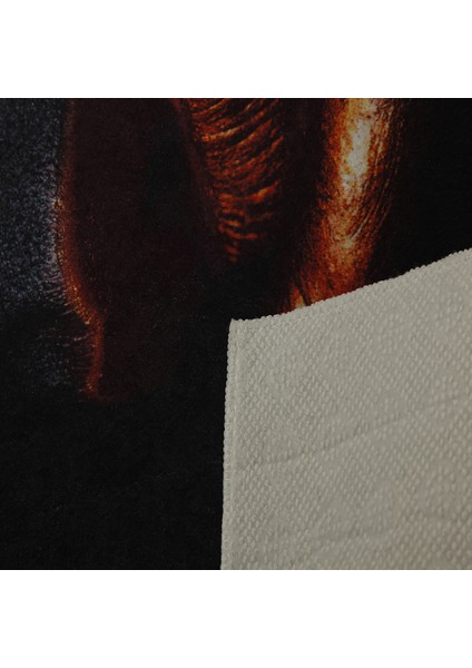Özel Tasarım Dekoratif Kaymaz Taban Yıkanabilir Trend Halı 80 x 120 cm fiyatları