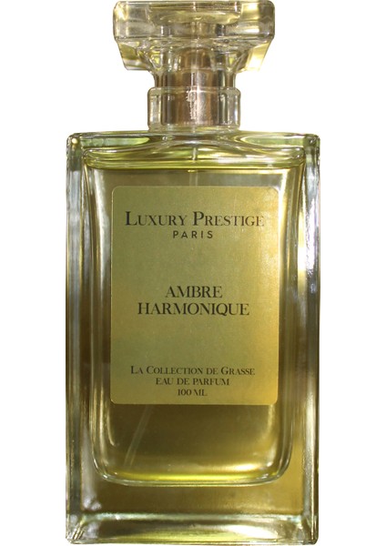 Paris Ambre Harmonique 100 ml Eau De Parfum