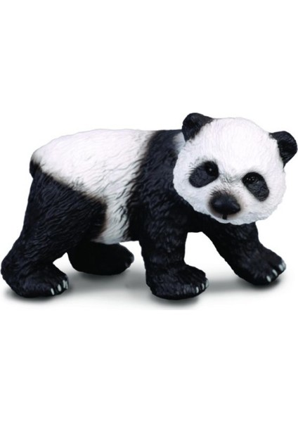 Yavru Panda