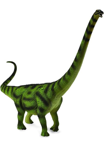 Daxiatitan
