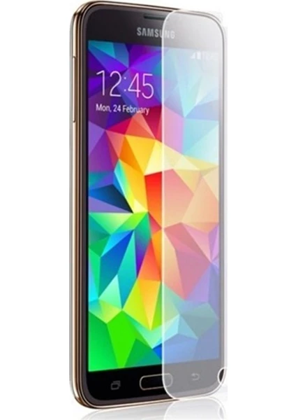 Tekno Grup Samsung Galaxy S5 Nano Glass Ekran Koruyucu