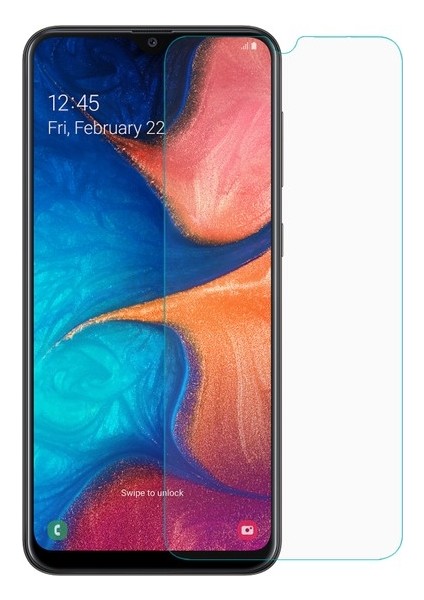 Samsung Galaxy A20 Nano Glass Ekran Koruyucu