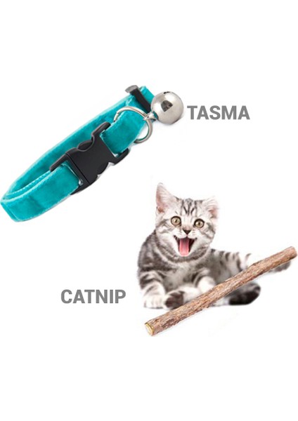 Kitten Stick Hindili Yavru Kedi Ödülü 9 Adet x 9 gr ve Catnip-Tasma