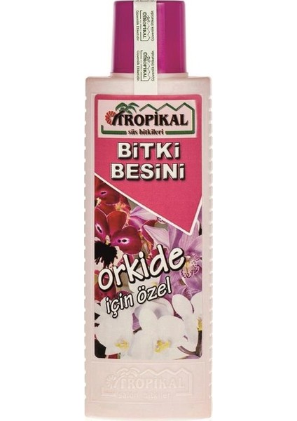 Bitki Besini Orkide