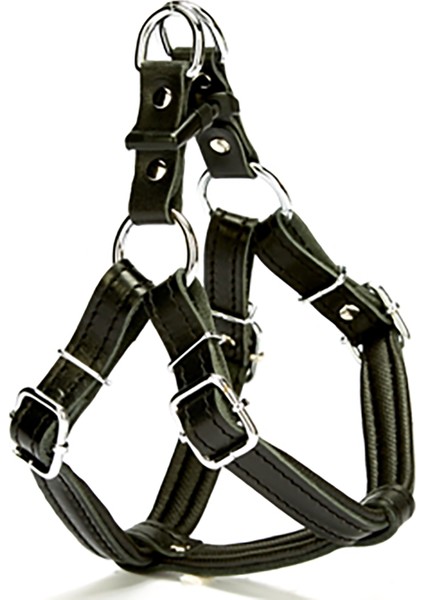 Konforlu El Yapımı Ronin Model Köpek Göğüs Tasması