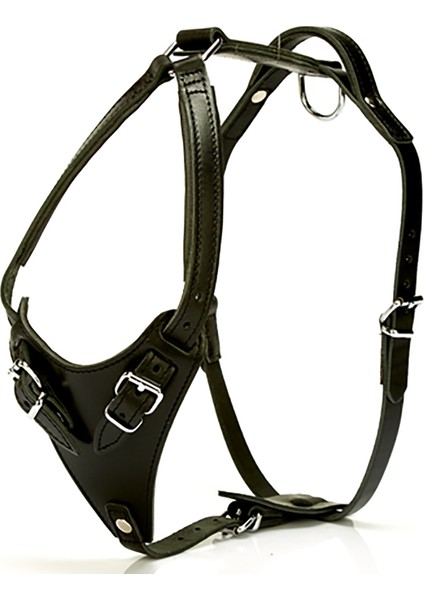 Konforlu El Yapımı Dragon Model Köpek Göğüs Tasması