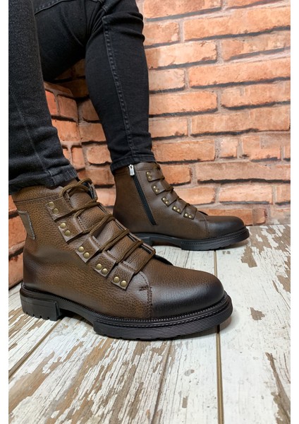 Kahverengi Erkek Bot 0012716