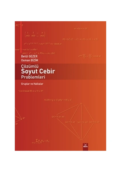 Çözümlü Soyut Cebir Problemleri - Betül Gezer