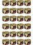 Shinycat Tavuklu Karides Malt Konserve Kedi Maması 70 gr x 24 Adet 1