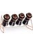 Standlı 4 Parça Cam Baharat Set ALG-010111 1