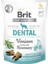 Functional Snack Dental Geyik Etli ve Biberiyeli Köpek Ödül Maması 150 gr 1