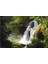 Excited 2780 1000 Parça Puzzle 1