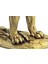 Aslan Biblo 30 cm 3