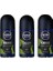 Men Deep Dimension Amazonia Roll-On Deodorant 50 ml Erkek 3 Adet 1