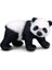 Yavru Panda 1