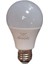 Smd 9 W LED Ampul 1