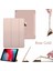 iPad Pro 10.5" A2152 A2153 A2154 A2123 Kılıf Renkli Standlı Uyku Modlu Smart Cover Bakır 2