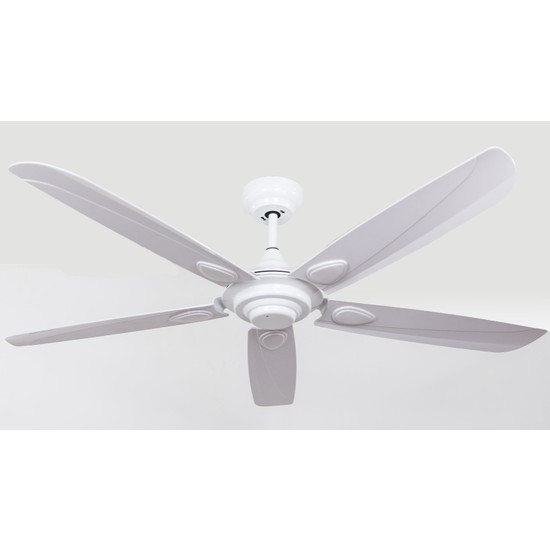 Alsanfan Profan White Outdoor  Aydınlatmasız Uzaktan Kumandalı Tavan Vantilatörü