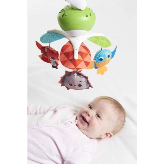 Tiny Love Take Along Mobil Dönence Fiyatı Taksit Seçenekleri