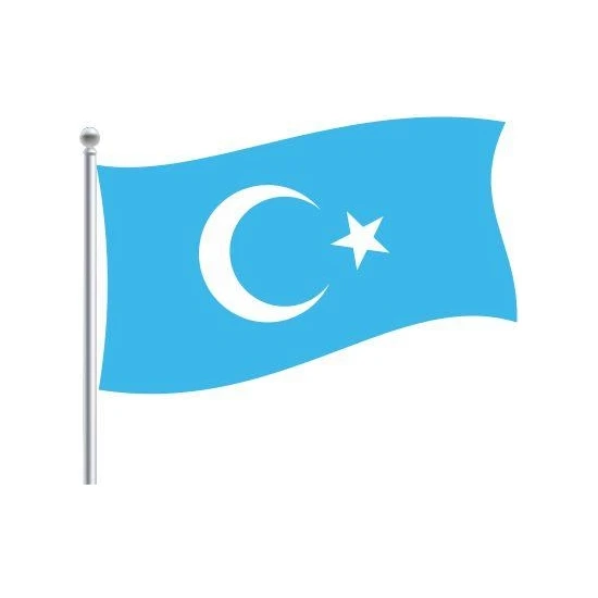 Doruk Doğu Türkistan Bayrağı 70 x 105 cm