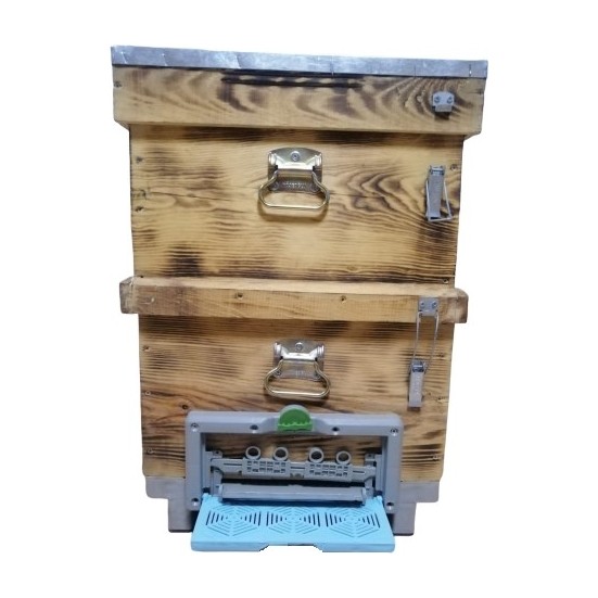 Top Ten Ari Kovani Boyama