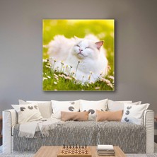 SML Tablo Çimlerde Uyuyan Sevimli Beyaz Kedi Papatyalar Doğa Hayvan Kanvas Tablo