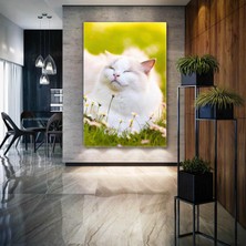 SML Tablo Çimlerde Uyuyan Sevimli Beyaz Kedi Papatyalar Doğa Hayvan Kanvas Tablo