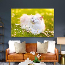 SML Tablo Çimlerde Uyuyan Sevimli Beyaz Kedi Papatyalar Doğa Hayvan Kanvas Tablo