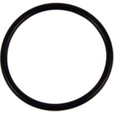 SBC 41.00*1.78 Viton O-Ring