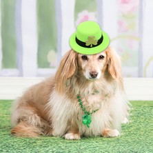 Şapka Şeklindeki Saç Klibi Gün Barrettes Kızlar Dekoratif Gençler Shamrock Açık Yeşil (Yurt Dışından)