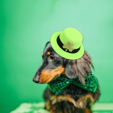 Şapka Şeklindeki Saç Klibi Gün Barrettes Kızlar Dekoratif Gençler Shamrock Açık Yeşil (Yurt Dışından)