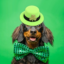Şapka Şeklindeki Saç Klibi Gün Barrettes Kızlar Dekoratif Gençler Shamrock Açık Yeşil (Yurt Dışından)